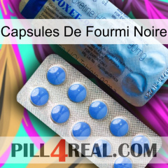 Black Ant Capsules 40